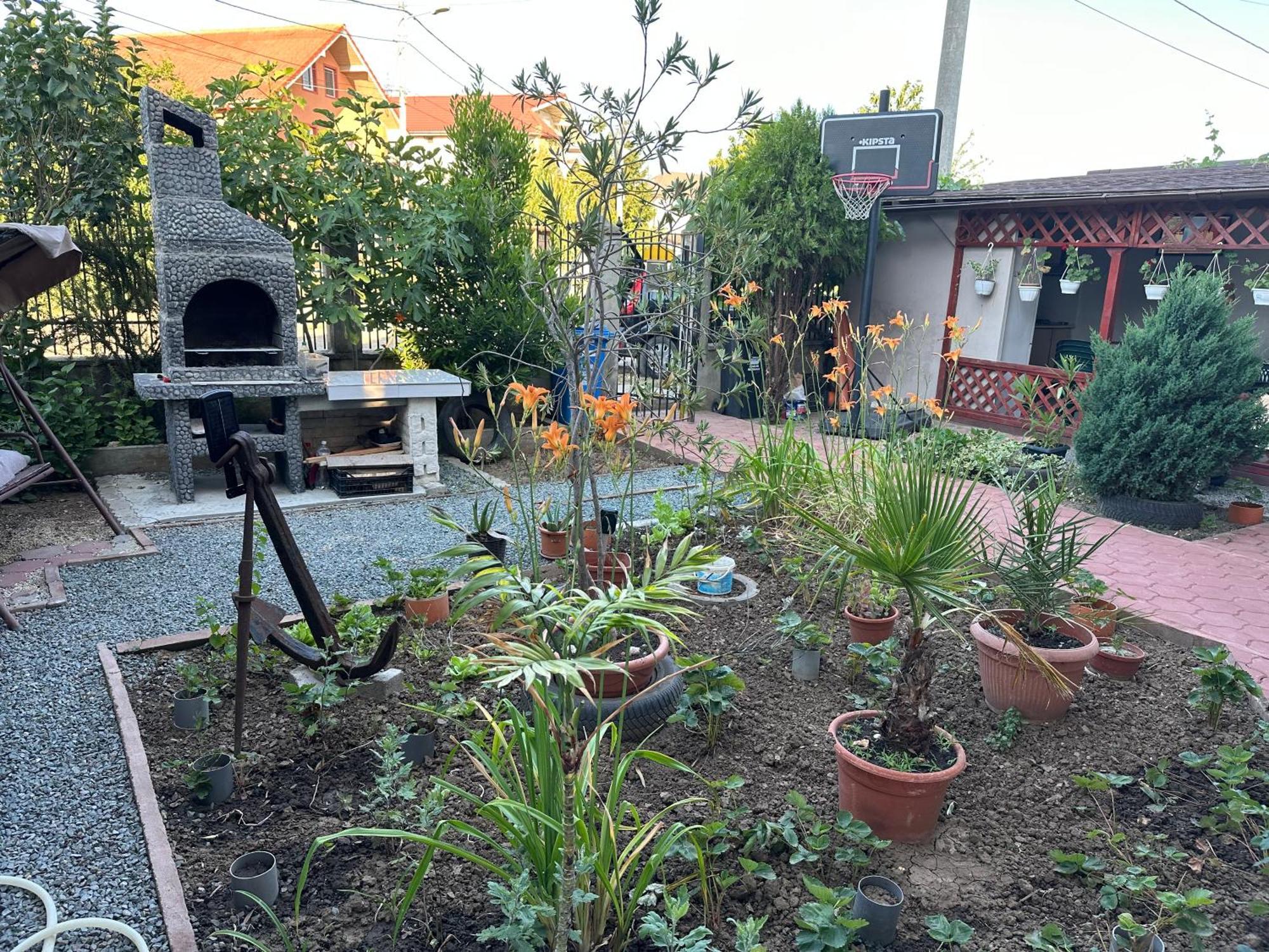 Casa Vio Parter Appartement Eforie Nord Buitenkant foto
